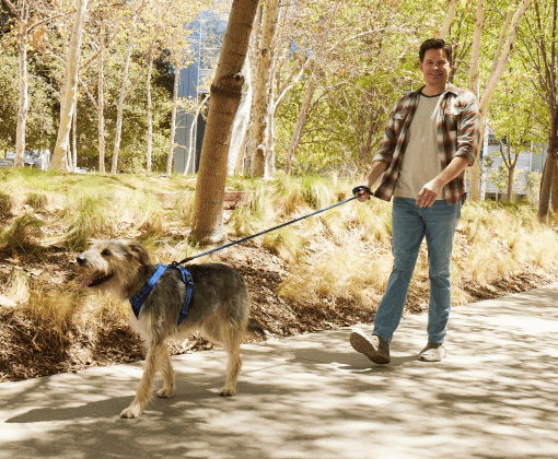A man walking a dog on a wooded path